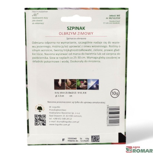 Szpinak olbrzym zimowy(2).jpg