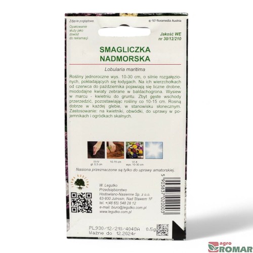 Smagliczka nadmorska fioletowa(2).jpg
