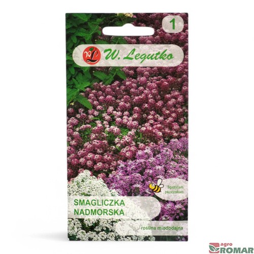 Smagliczka nadmorska fioletowa.jpg