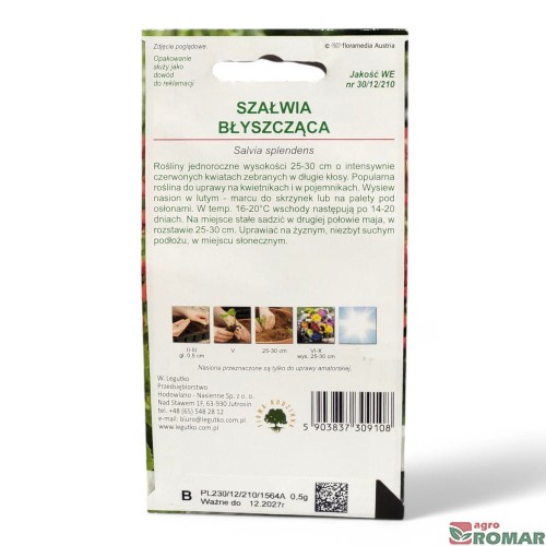 Szałwia błyszcząca(2).jpg