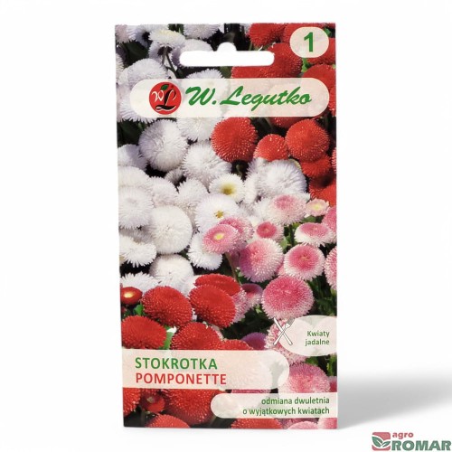 Stokrotka Pomponette.jpg