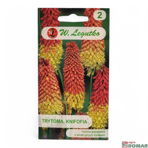 Trytoma, Knifofia.jpg