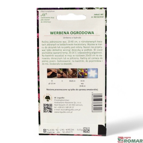 Werbena ogrodowa(2).jpg