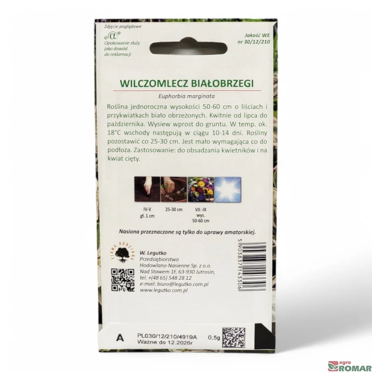 Wilczomlecz białobrzegi(2).jpg