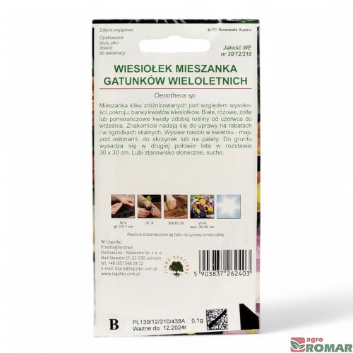 Wiesiołek mieszanka gatunków wieloletnich(2).jpg