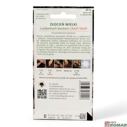 Złocień wielki Crazy Daisy(2).jpg