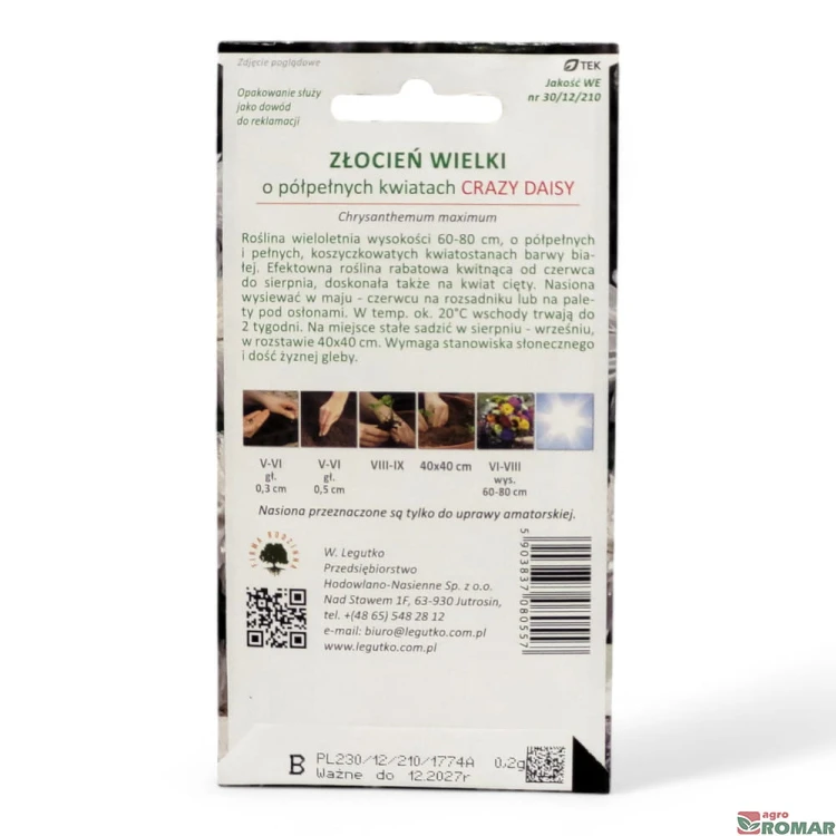 Złocień wielki Crazy Daisy(2).jpg