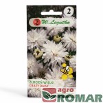 Złocień wielki Crazy Daisy biały 0.20g, W. Legutko