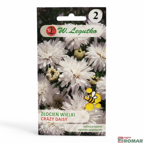 Złocień wielki Crazy Daisy.jpg