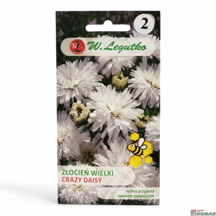 Złocień wielki Crazy Daisy.jpg