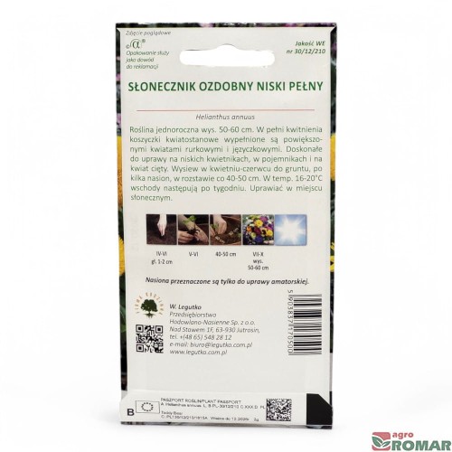 Słonecznik Ozdobny niski pełny(2).jpg
