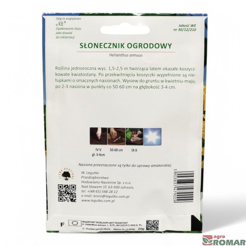 Słonecznik ogrodowy nr2(2).jpg