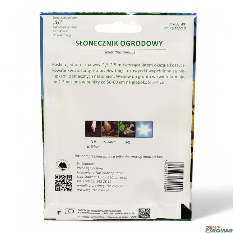 Słonecznik ogrodowy nr2(2).jpg