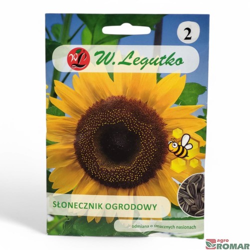 Słonecznik ogrodowy nr2.jpg