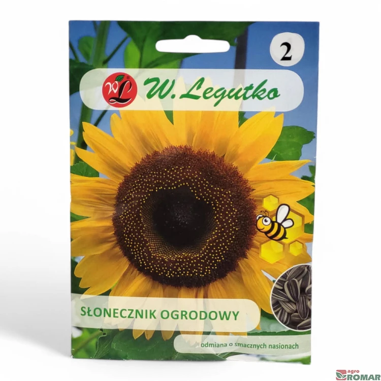 Słonecznik ogrodowy nr2.jpg