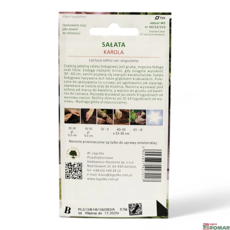 Sałata łodygowa karola(2).jpg