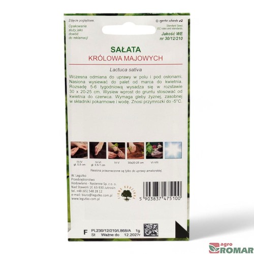Sałata Królowa majowych(2).jpg