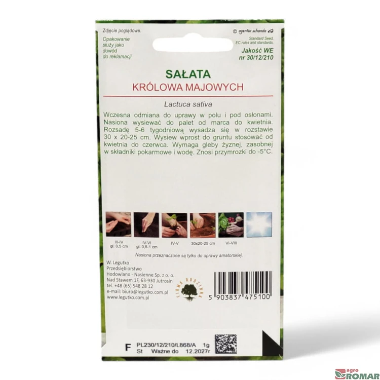 Sałata Królowa majowych(2).jpg