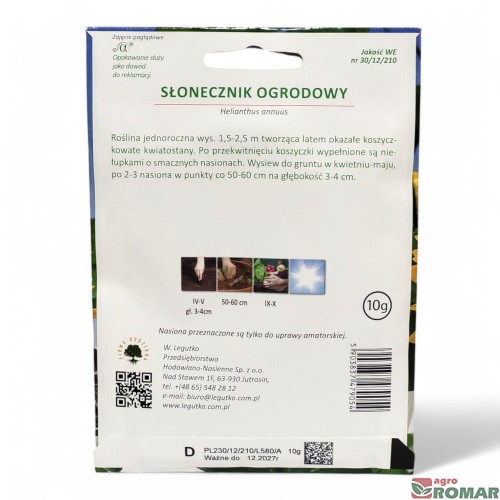 Słonecznik ogrodowy nr1(2).jpg