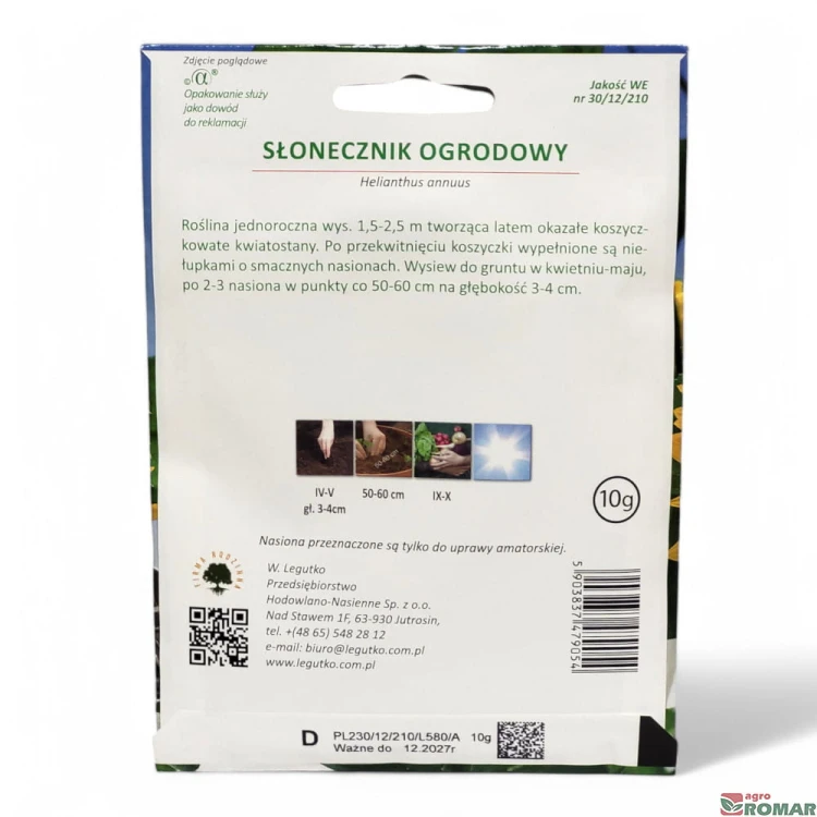 Słonecznik ogrodowy nr1(2).jpg