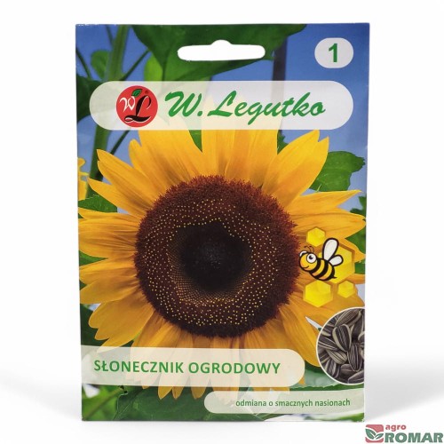 Słonecznik ogrodowy nr1.jpg