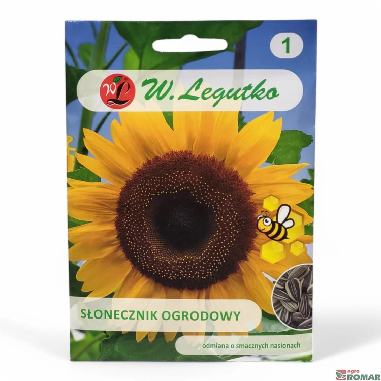 Słonecznik ogrodowy nr1.jpg