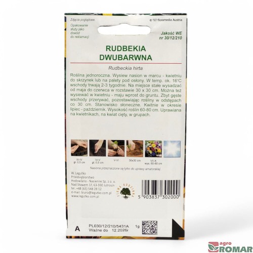 Rudbekia dwubarwna(2).jpg