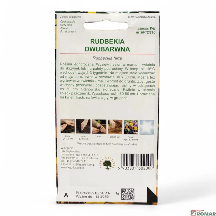 Rudbekia dwubarwna(2).jpg