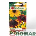 Rudbekia dwubarwna.jpg
