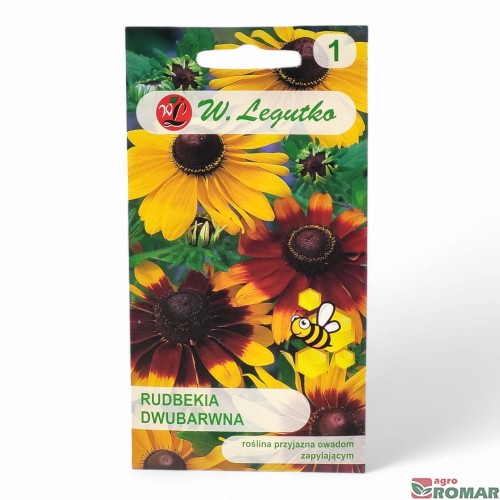 Rudbekia dwubarwna.jpg