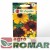 Rudbekia dwubarwna.jpg