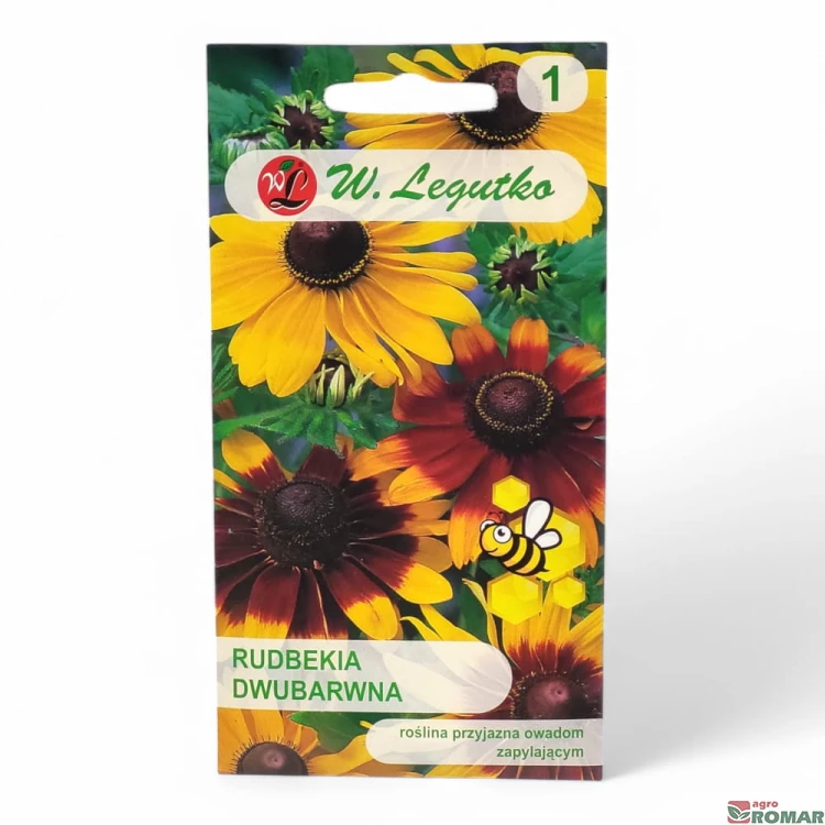 Rudbekia dwubarwna.jpg