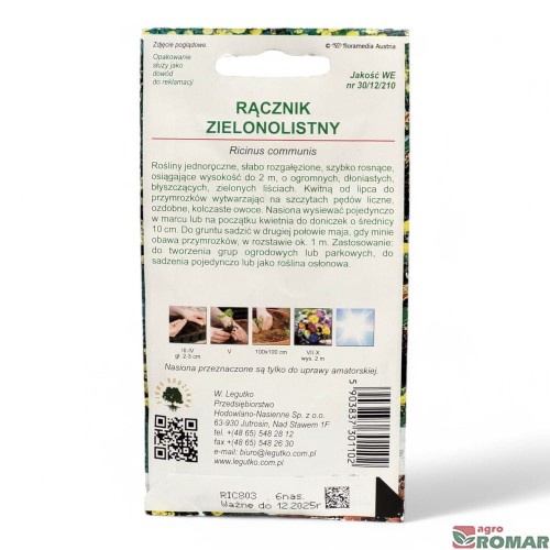 Rącznik zielonolistny(2).jpg