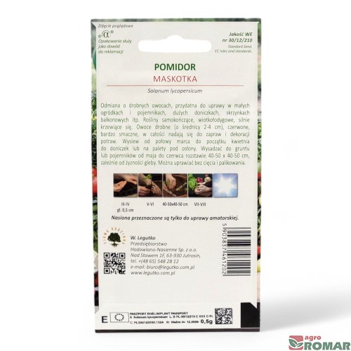 Pomidor karłowy maskotka(2).jpg