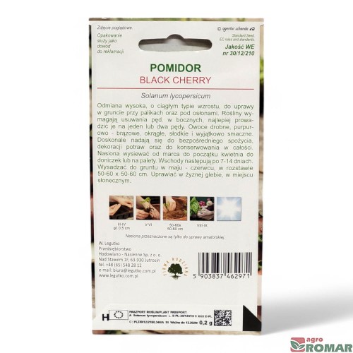 Pomidor wysoki Black Cherry(2).jpg