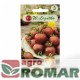 Pomidor wysoki Black Cherry.jpg