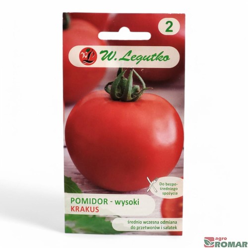 Pomidor wysoki krakus.jpg