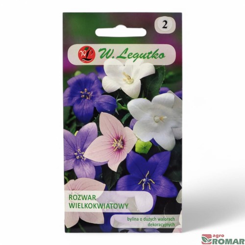 Rozwar wielokwiatowy.jpg