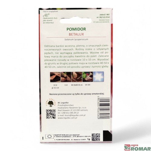 Pomidor karłowy betalux(2).jpg