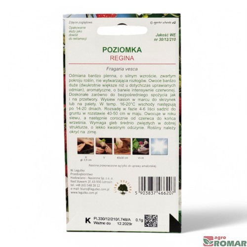 Poziomka regina(2).jpg