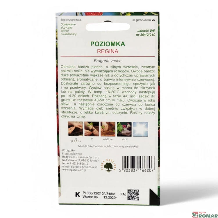 Poziomka regina(2).jpg