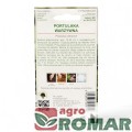 Portulaka warzywna(2).jpg