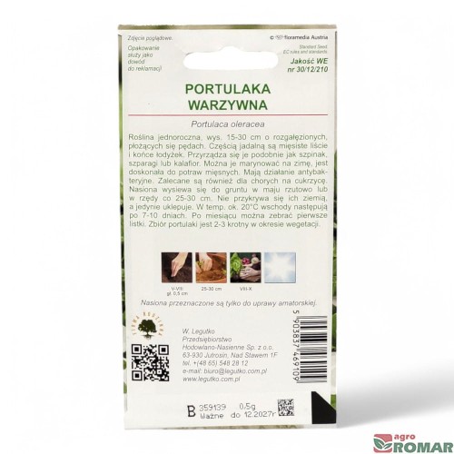 Portulaka warzywna(2).jpg