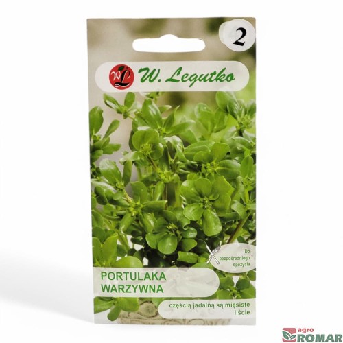 Portulaka warzywna.jpg