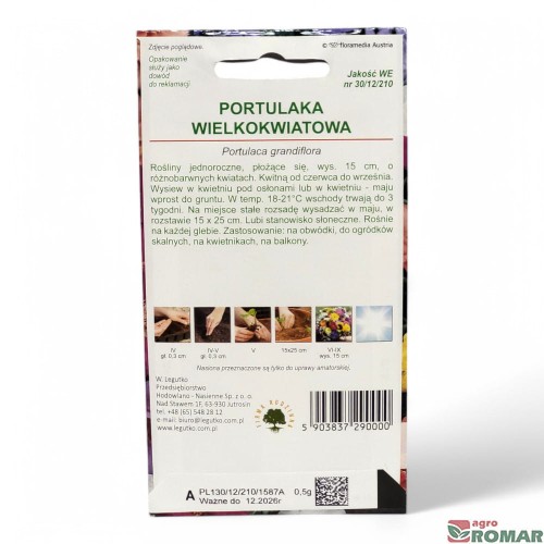 Portulaka wielkokwiatowa(2).jpg