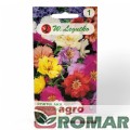 Portulaka wielkokwiatowa.jpg