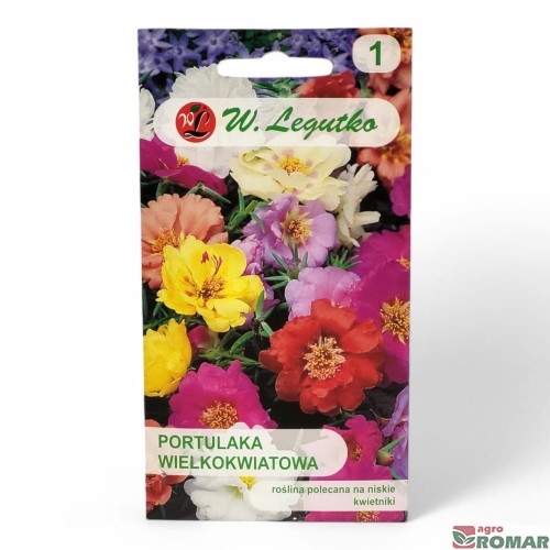 Portulaka wielkokwiatowa.jpg
