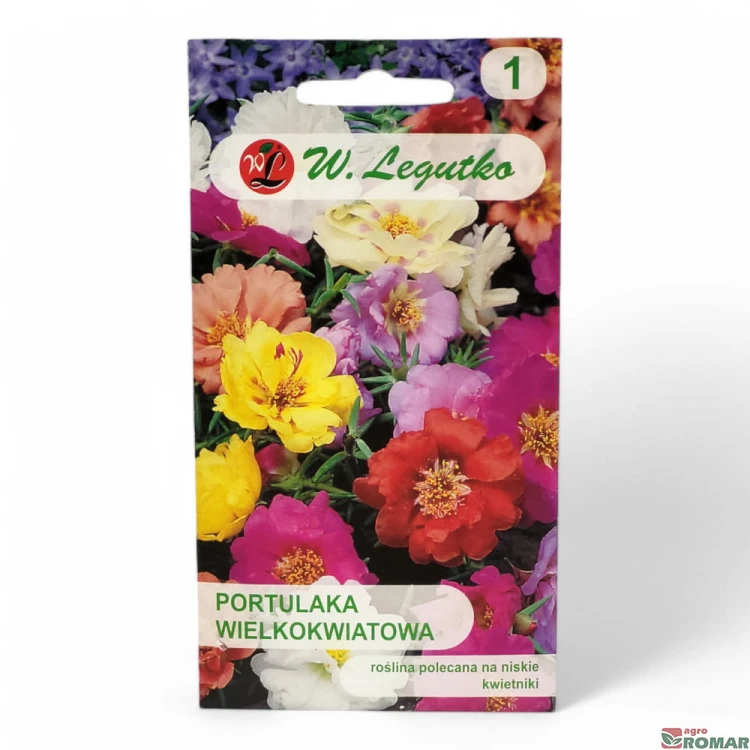Portulaka wielkokwiatowa.jpg