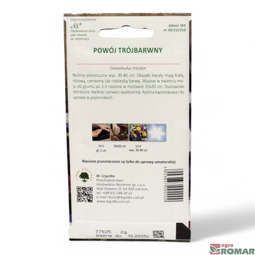 Powój Trójbarwny(2).jpg