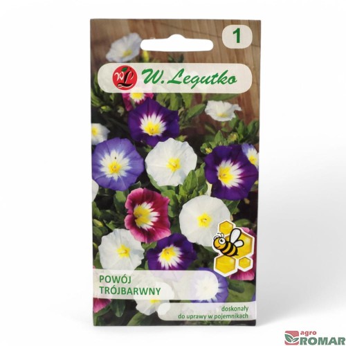 Powój Trójbarwny.jpg